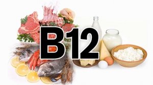 В каких продуктах содержится витамин в12