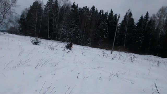 снегоход Икар 07.02.23г. смотреть онлайн