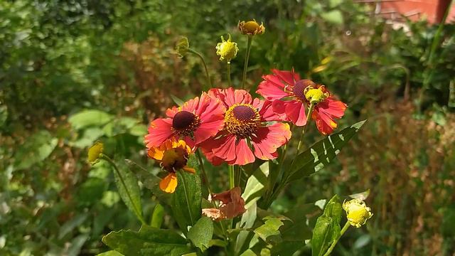 Летнее тепло 11 августа в Москве смотреть онлайн