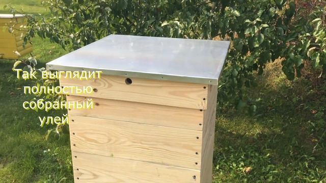 Обзор 12-ти рамочного корпусного улья Дадан (12 рамочный, дно-корпус-2магазина-подкрышник-крыша). смотреть онлайн