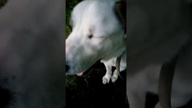 Река Ока, как мы отдыхаем🥵 смотреть онлайн