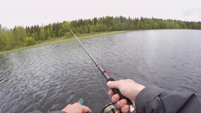 Бешеный клёв щуки в ЩУЧЬИХ ГНЁЗДАХ. Резина на офсетнике и RAPALA Minnow Spoon решают! смотреть онлайн
