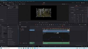 Приближение в DaVinci Resolve