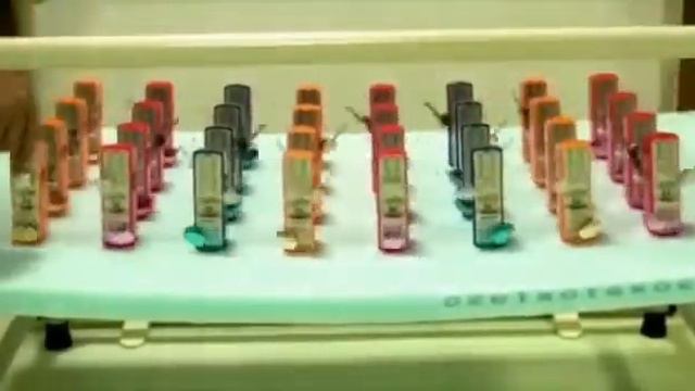 Почему нам важно встречаться? смотреть онлайн