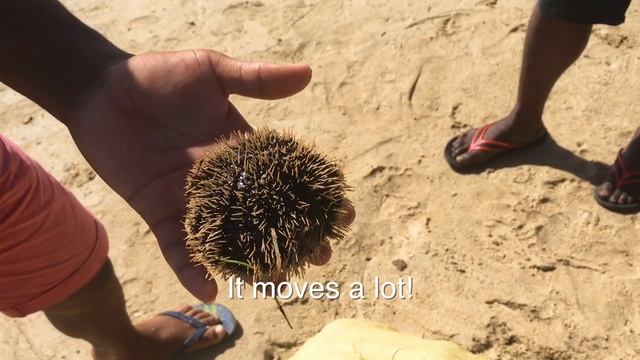 La Prairie Beach Mauritius | Best Mauritian Beaches