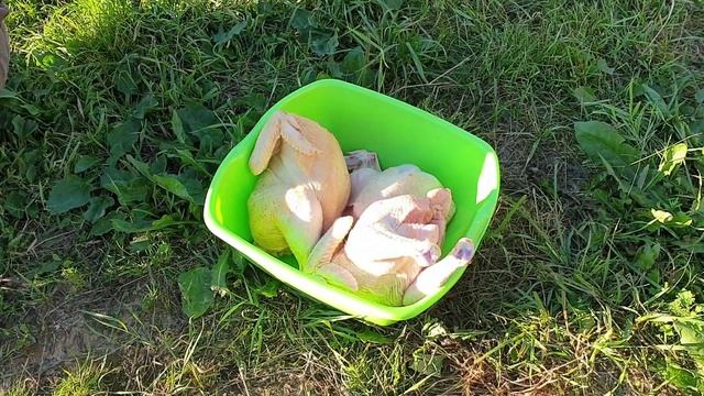 НОВЫЙ ПЕРЕПЕЛЯТНИК/КАК БЫСТРО ПОЧИСТИТЬ ЧЕРЕШНЮ/НЕПРИЯТНАЯ ВСТРЕЧА В ГРЯДКЕ С КЛУБНИКОЙ смотреть онлайн