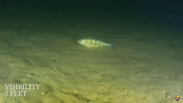 TESTING MY GOPRO HERO 9 BLACK IN LOW VISIBILITY AT WILLOW SPRINGS смотреть онлайн