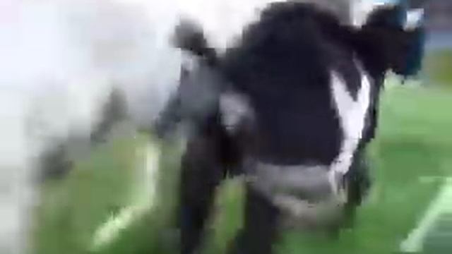 ЕГО ЯЙЦА ТАКИЕ ОГРОМНЫЕ смотреть онлайн