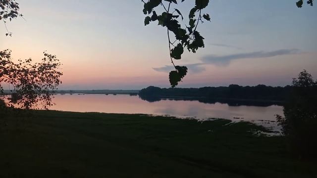 Звуки природы: пение птиц, стрекотание насекомых, кваканье, звуки лета для сна, отдыха и релаксации смотреть онлайн