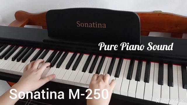 88 Keys Portable Digital Piano Keyboard Sonatina M-250 Pure Piano Sound Melody Music Store смотреть онлайн