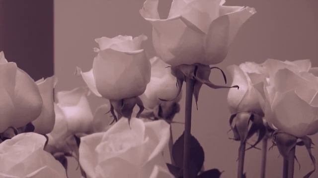 Армянская Свадьба. Сборы невесты. смотреть онлайн