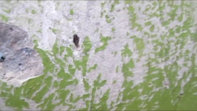 Стройка Видеоглазом