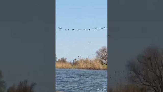 О Нас и О Рыбалке ? смотреть онлайн