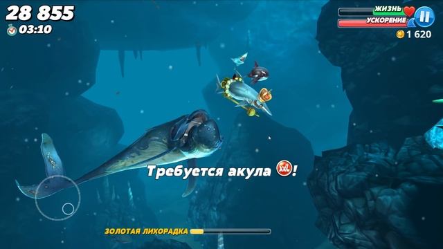 Hungry Shark World - Собираем H U N G R Y смотреть онлайн