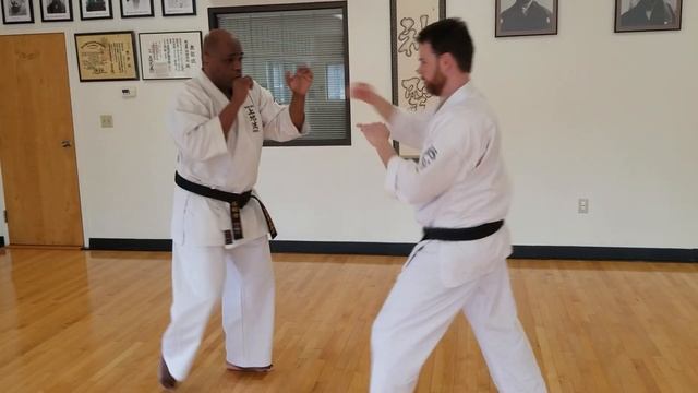 A Look Into Uechiryu Karate - ft. Bill Leith смотреть онлайн