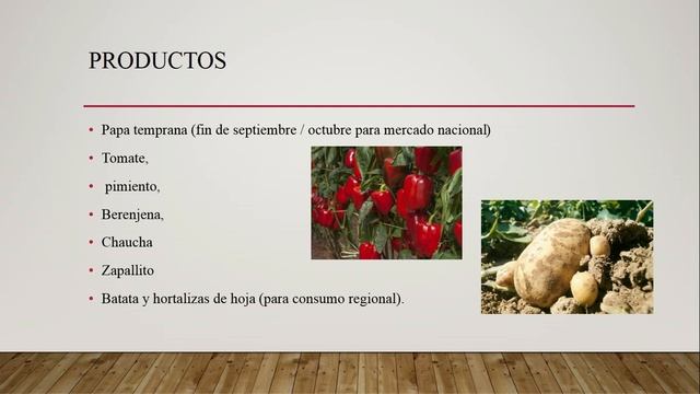 CLASE2_HORTICULTURAESPECIALIZADA_GARCIA смотреть онлайн