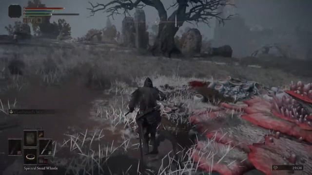Elden Ring: Trying To Kill Draconic Tree Sentinel