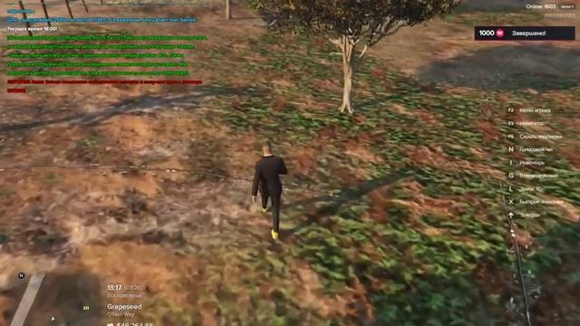 назад в уютный ламповый мажестик рп после ужасного gta5rp com смотреть онлайн