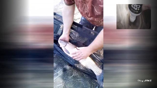 "ДОБРОСЛАВ", водоём в Одесской области ! смотреть онлайн