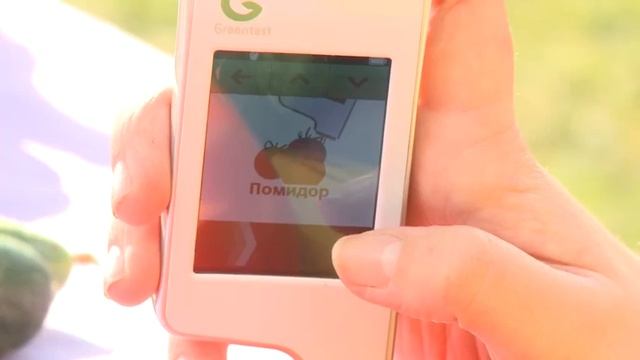 Тест-контроль покажет, какие из овощей полезны, а в каких зашкаливают нитраты. смотреть онлайн