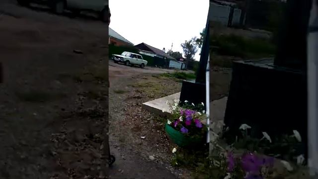 Я показал трюки какие у меню на труковом самокате смотреть онлайн