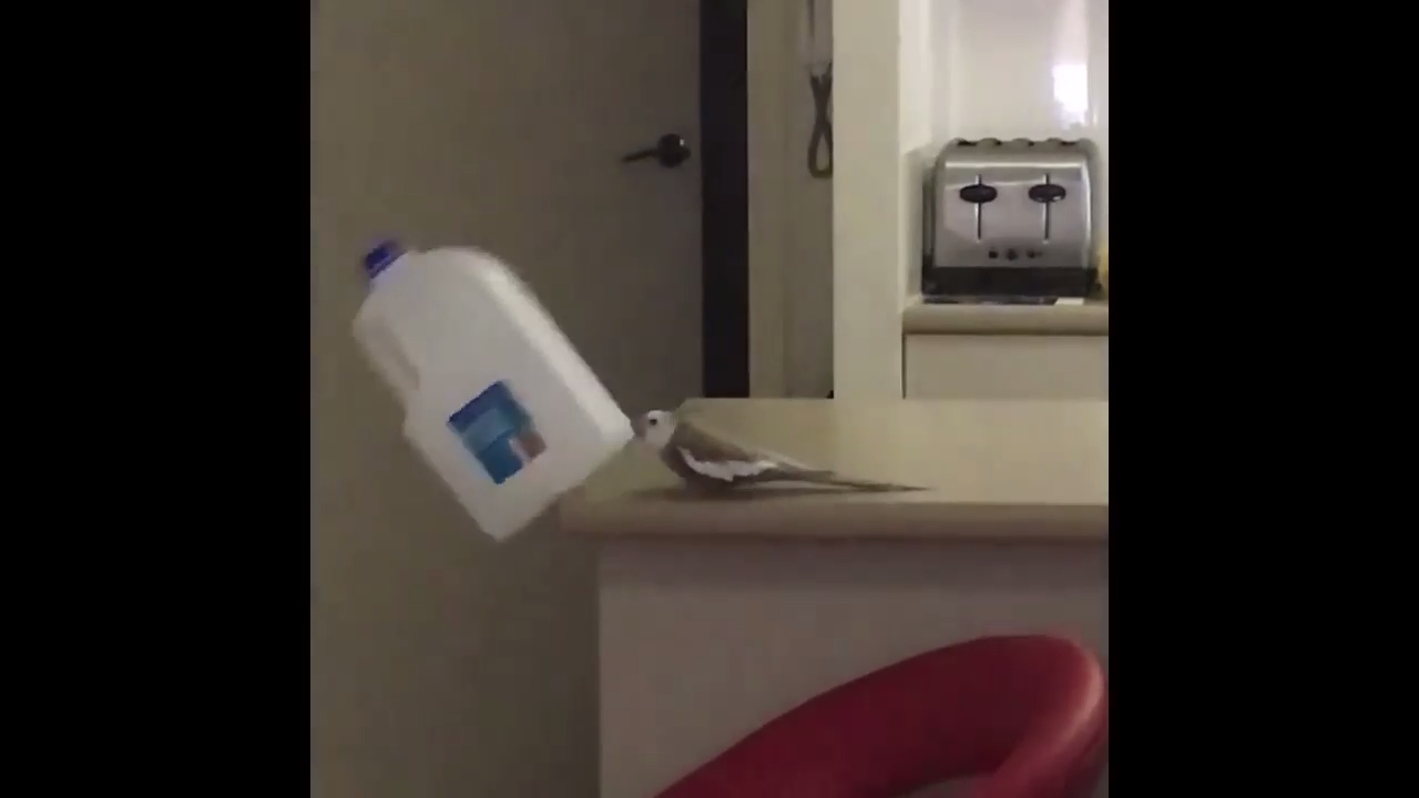 Вас здесь не стояло! смотреть онлайн