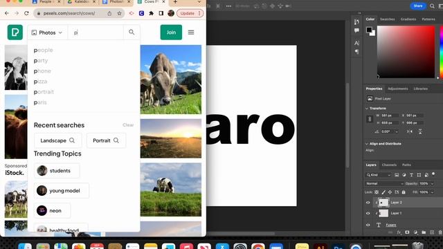 Clipping Mask Photoshop смотреть онлайн