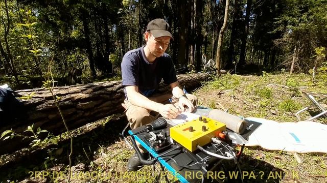 Весенний лесной день 2023: 