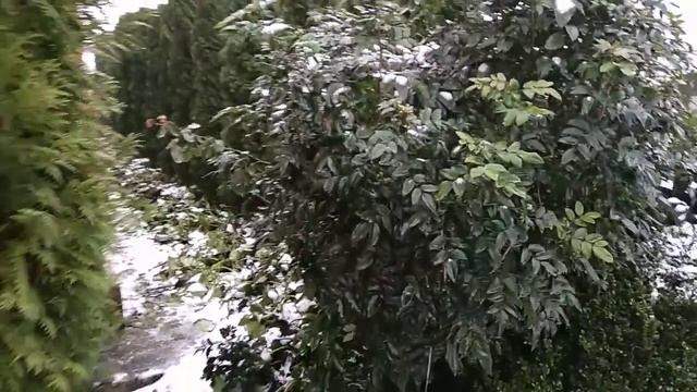 Аккумуляторные ножницы удобны.Помогите с выбором смотреть онлайн