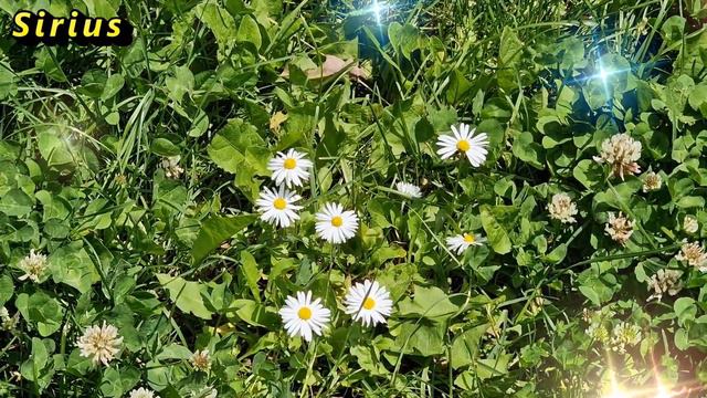 Какие знаки зодиака уважают всех без исключения смотреть онлайн