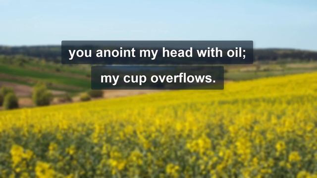 The Book of Psalms | Book 1 | Psalms 1–41 | Audio Bible (NRSV) смотреть онлайн