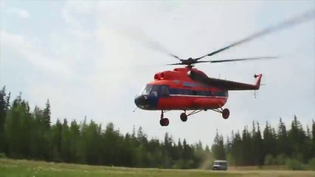 Берегите лес смотреть онлайн