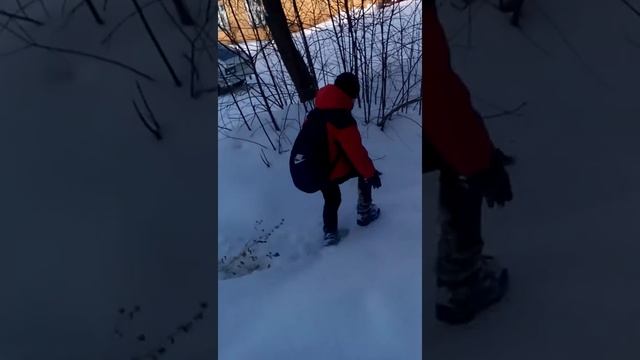 Продолжение про снегиря смотреть онлайн