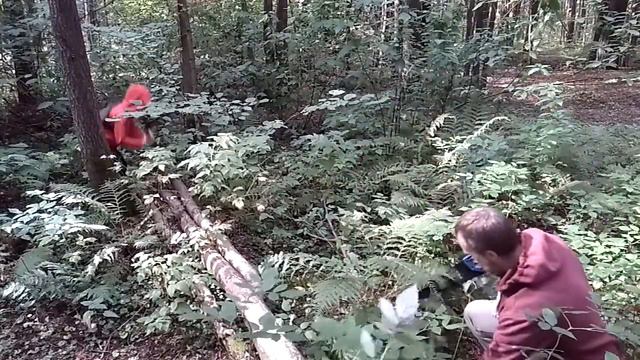 Шест из рябины... смотреть онлайн