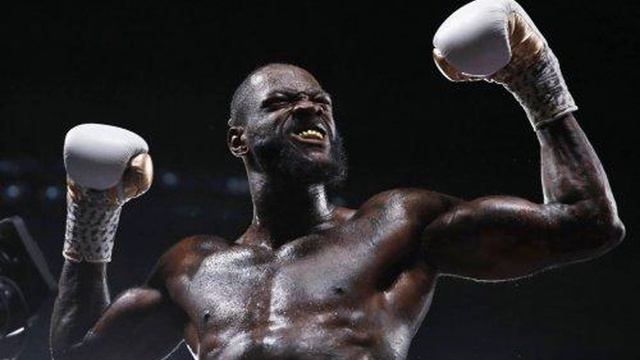 Стали известны новые детали боя-реванша Уайлдер — Фьюри смотреть онлайн