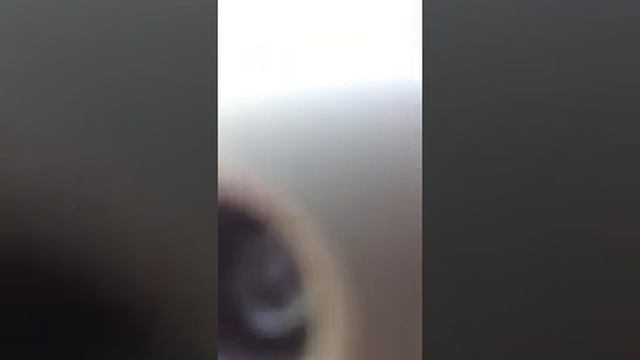 CASIO SA-77 смотреть онлайн