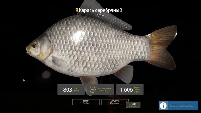 Трофейный серебряный карась на Медвежке [Русская Рыбалка 4] смотреть онлайн