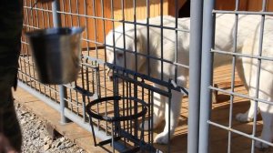 Кормушка для вольера