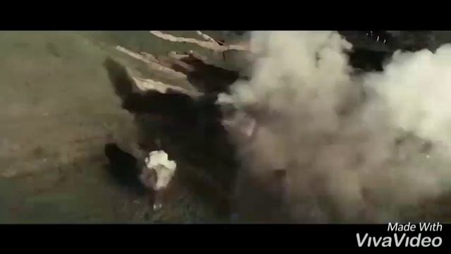 "Лежат на полке ордена..." / Авторское стихотворение /Читает АНАСТАСИЯ ДЕДОВА /Стихи ко дню Победы смотреть онлайн