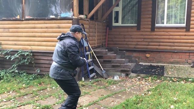 Ответ на вопрос. Начальная дрессировка.