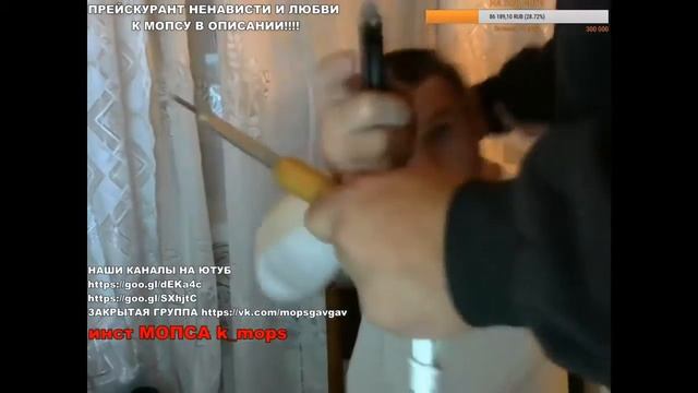 ШОК!Мопсу задонатили 50К и паяльник из попы! смотреть онлайн
