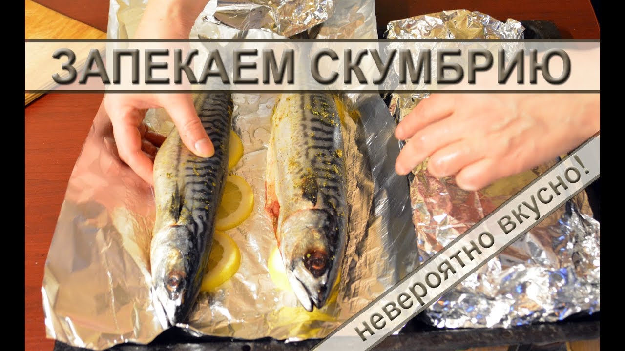 Скумбрия запеченная в фольге с лимоном: простой и вкусный рецепт приготовления скумбрии в духовке смотреть онлайн