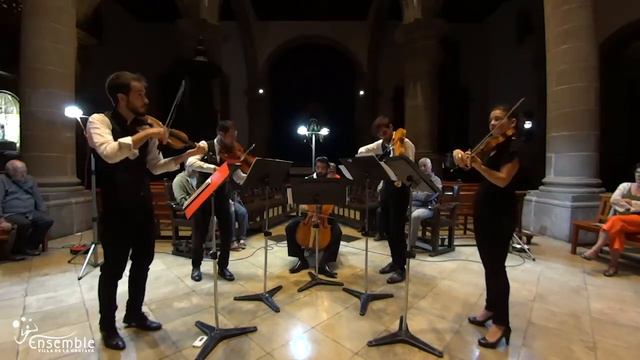 Afecto Ilustrado - Quinteto de cuerdas con dos violas Nº3 - José Palomino смотреть онлайн