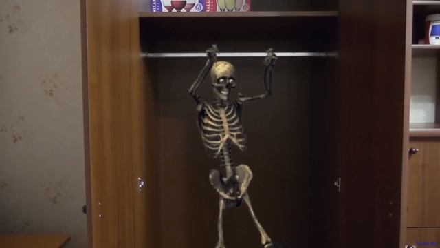 Танцующий скелет в шкафу - Dancing skeleton in the closet смотреть онлайн