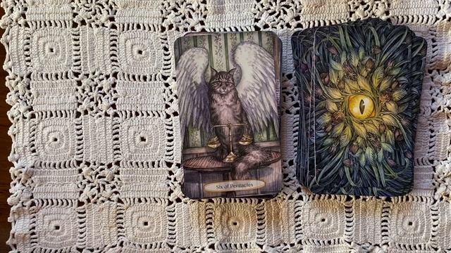 Soul Cats Tarot | First Impressions & Walkthrough смотреть онлайн
