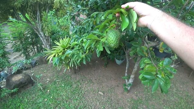 Лайфхаки для Красоты и Здоровья