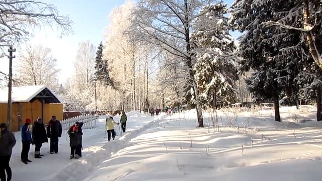 Азимут Лыжи Ориентирование 24 января смотреть онлайн