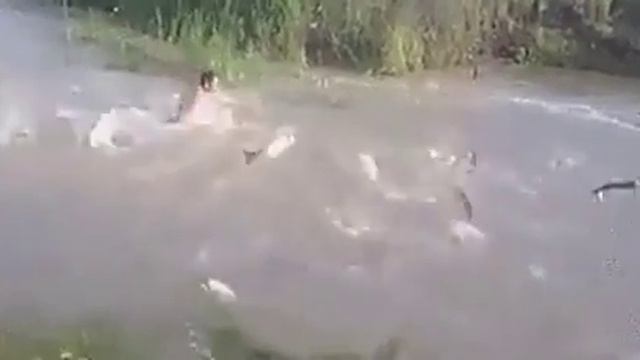 вот где надо рыбачить смотреть онлайн