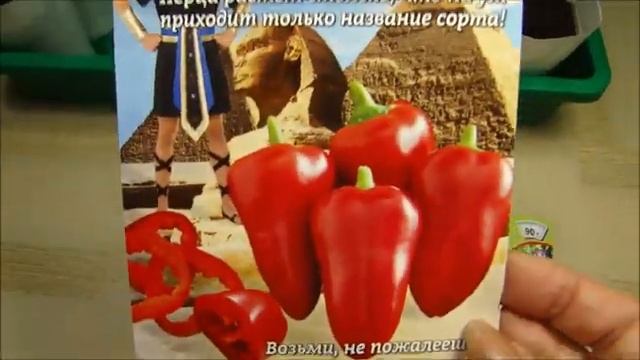 Как всходит сладкий перец! Новые семена перцев завалят урожаем! смотреть онлайн