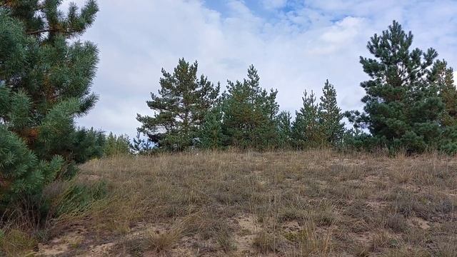 Грехи Соломона , Грехи Современной Церкви! смотреть онлайн